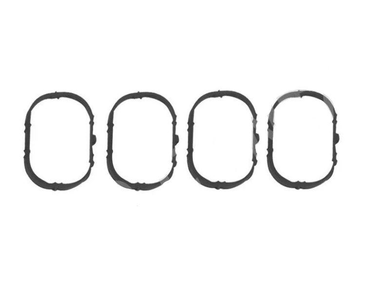 Emme Manifold Oring Takımı 1.6 16 Valf Megane II