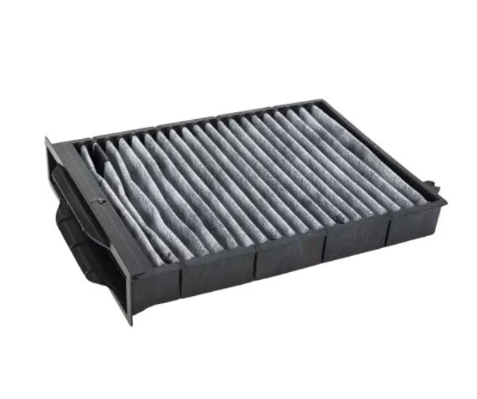 Polen Filtresi Megane II (Karbonlu)