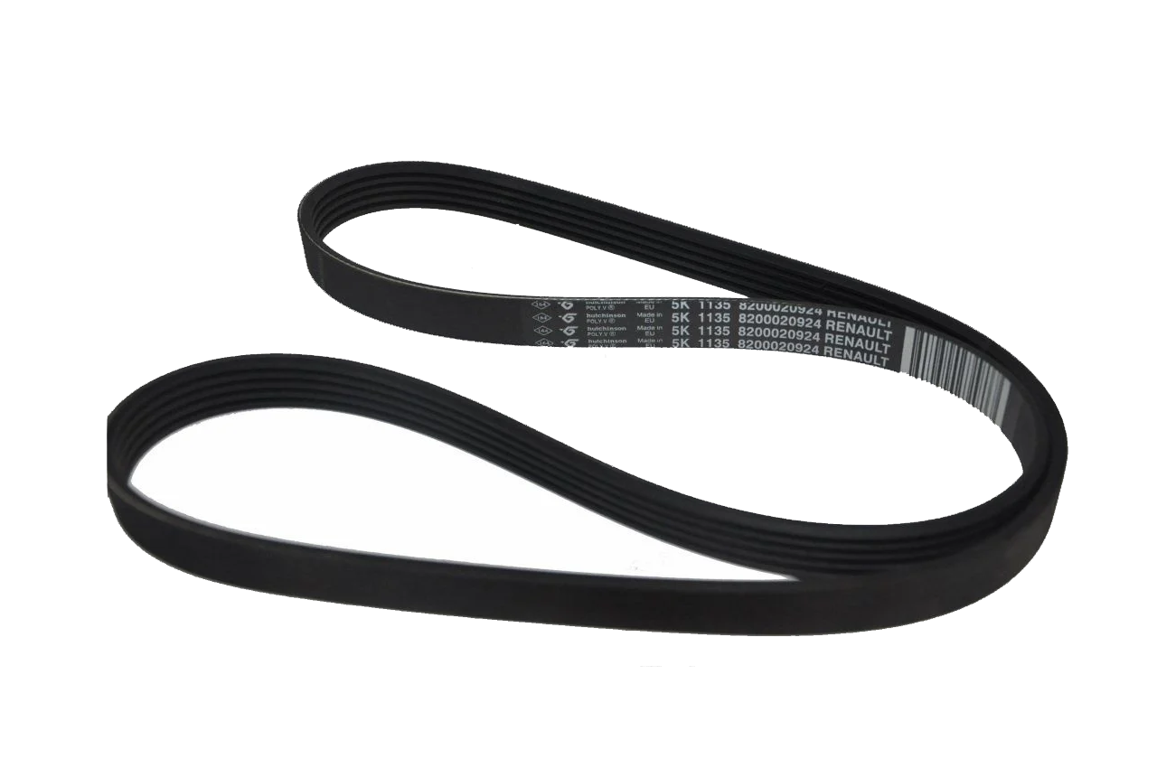 Alternatör Kayışı 1.5 Dci Clio-Kango (Klimasız)