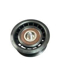 Alternatör Gergi Rulmanı 1.6 Jtd Linea-Bravo 2007 Sonrası