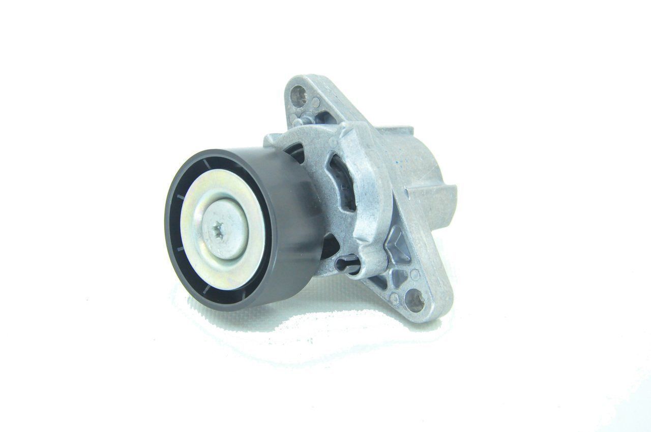 Alternatör Gergi Kütüğü 1.4 8 Valf Clio-Kango (Klimalı)