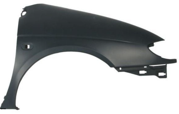 Renault Scenıc Ön Çamurluk Sağ 96-99