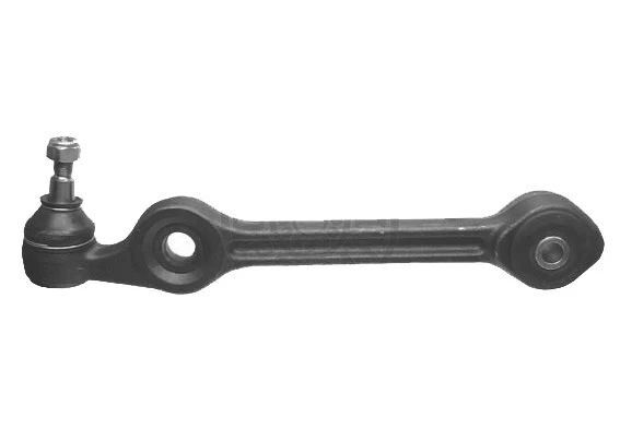 Rotilli Kol Doğan-Şahin-Kartal