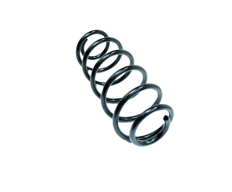 Helezozn Yayı Arka Linea