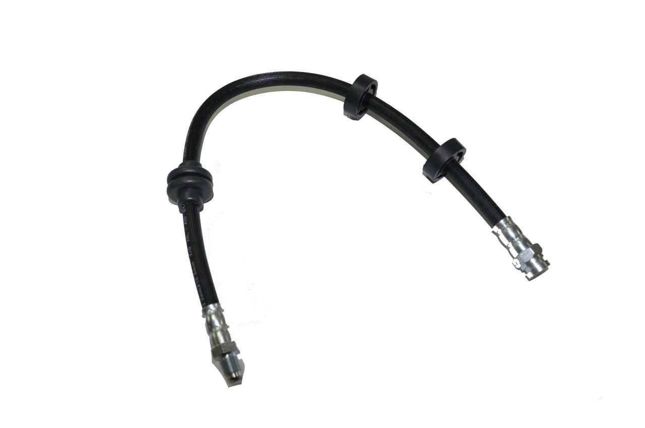 Fren Hortumu Ön Albea-Palio-Siena