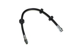 Fren Hortumu Ön Albea-Palio-Siena