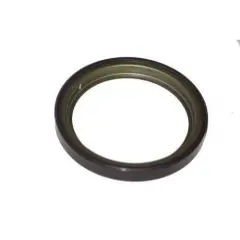 Abs Okuyucusu Arka Clio III-Modüs