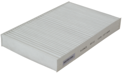 Polen Filtresi Fluence