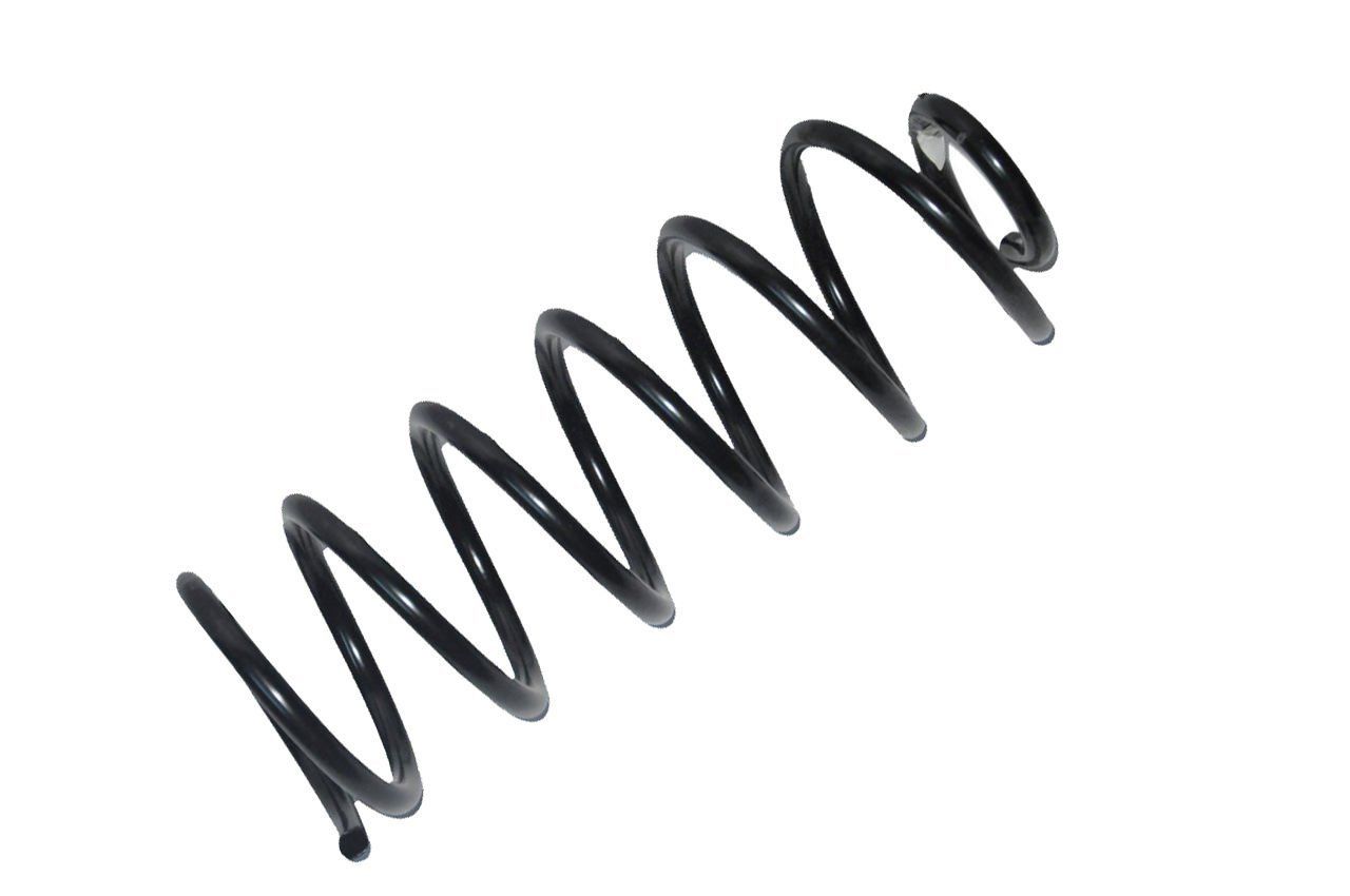 Helezon Yayı Arka Fiorino